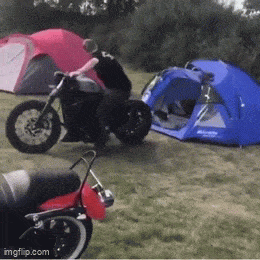 Acid GIFs, January 13 (25 gifs)