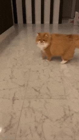 Acid GIFs, January 13 (25 gifs)