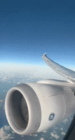 Acid GIFs, January 13 (25 gifs)