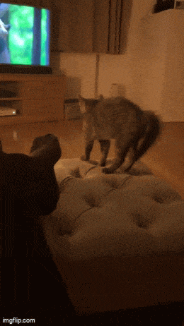 Acid GIFs, January 13 (25 gifs)