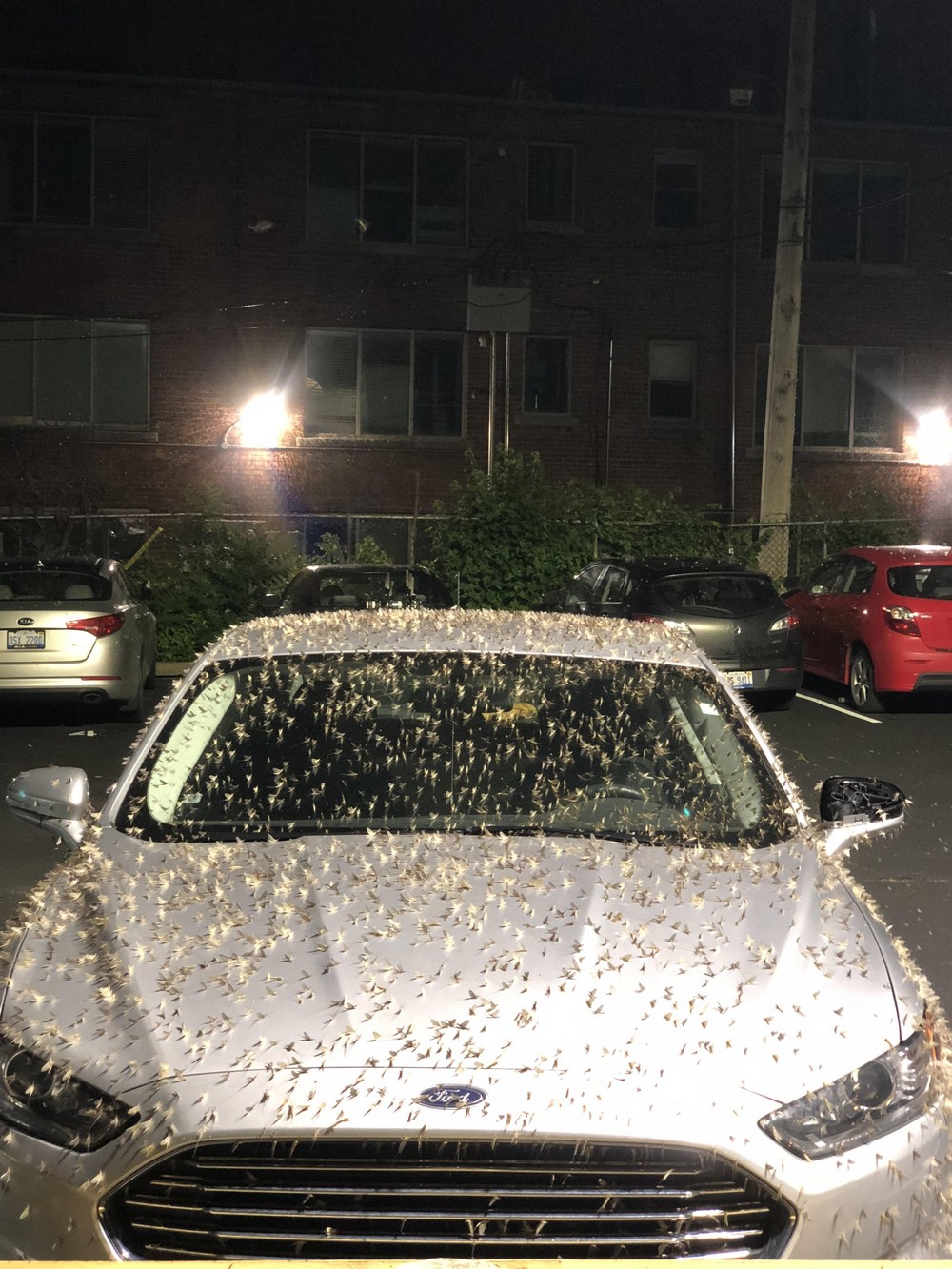 Bad Days Happen (23 pics) Bad Days Happen (23 pics)