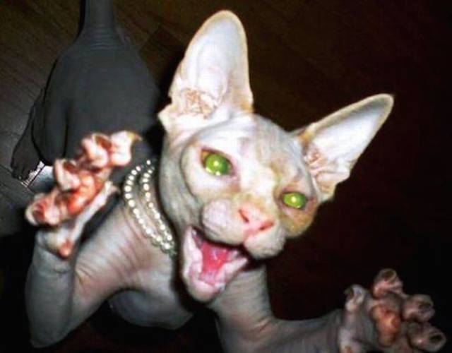 Unfortunate Situations (21 pics)