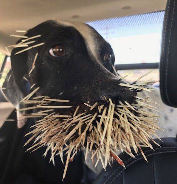 Unfortunate Situations (21 pics)