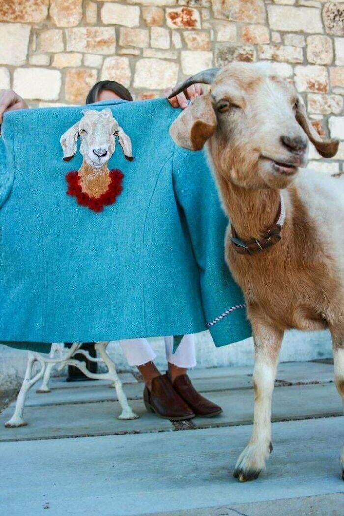 Cool Embroidery (23 pics)