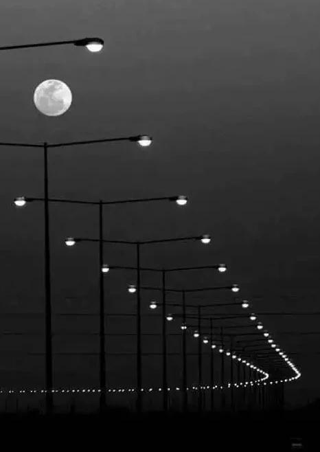 Photos For Perfectionists (21 pics)