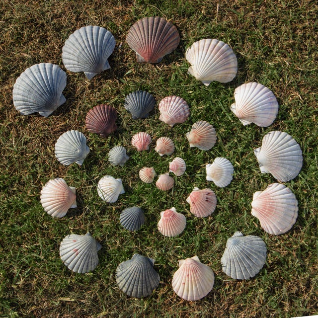 Photos For Perfectionists (21 pics)