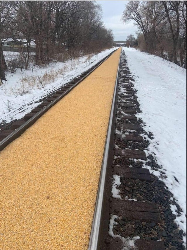 Photos For Perfectionists (21 pics)