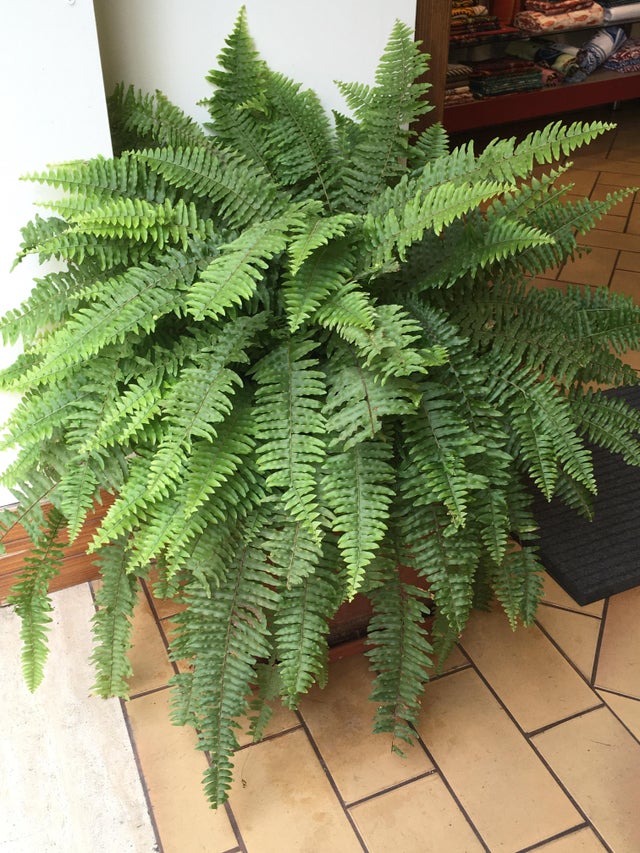 Photos For Perfectionists (21 pics)