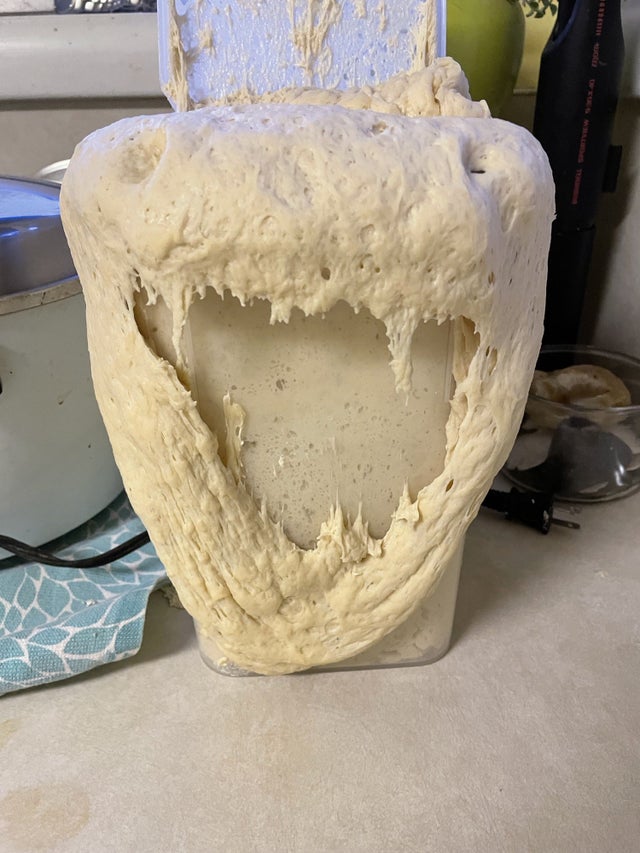 This Is Pareidolia (21 pics)