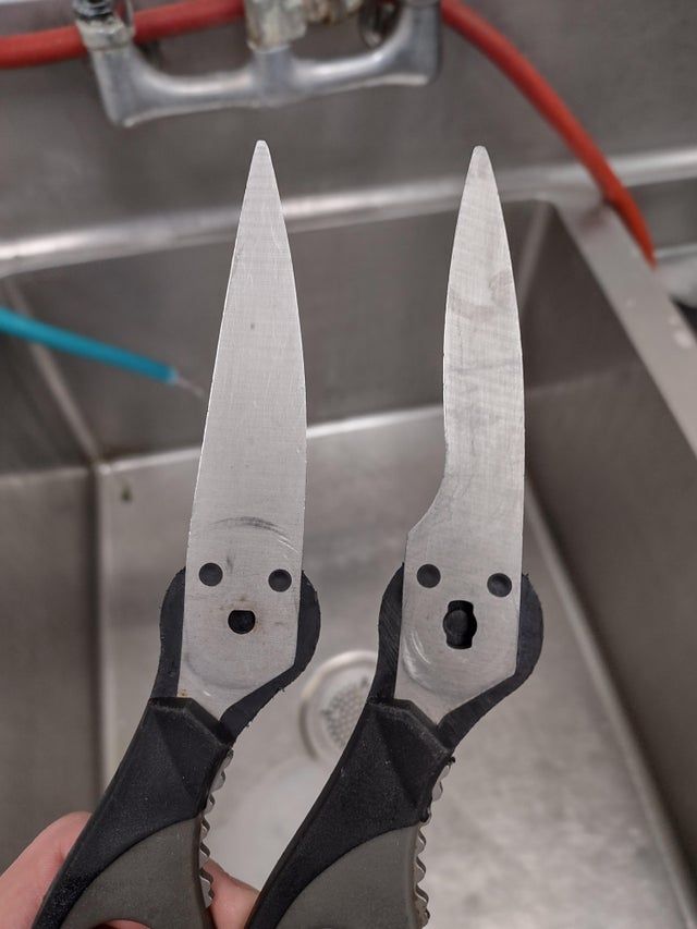 This Is Pareidolia (21 pics)