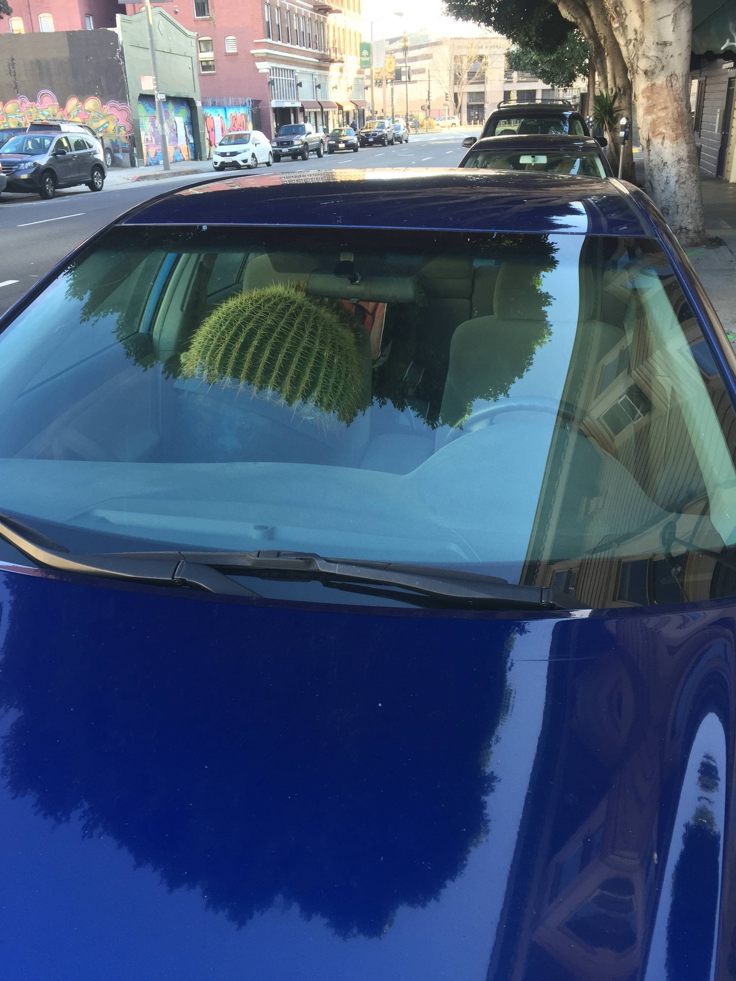 Daily Pictures. Part 1 (64 pics)