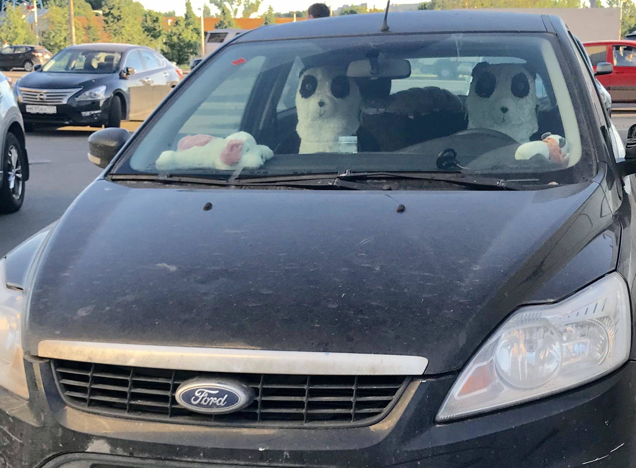 Daily Pictures. Part 1 (64 pics)