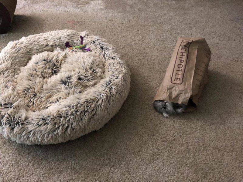 Daily Pictures. Part 1 (64 pics)