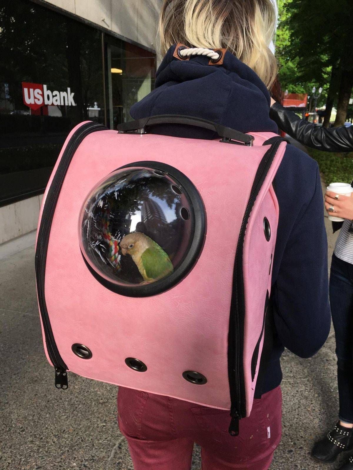 Daily Pictures. Part 1 (64 pics)