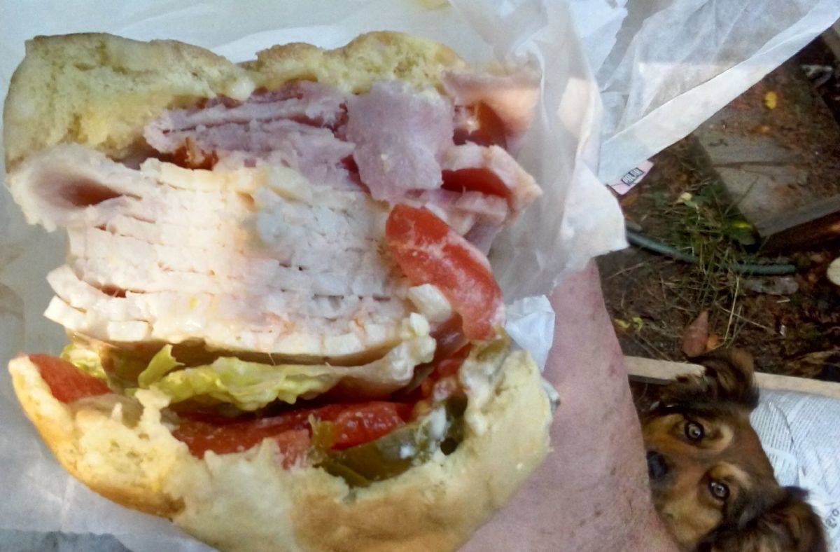 Daily Pictures. Part 1 (64 pics)