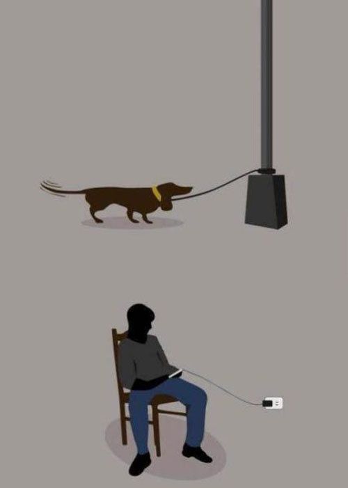 Daily Pictures. Part 1 (64 pics)