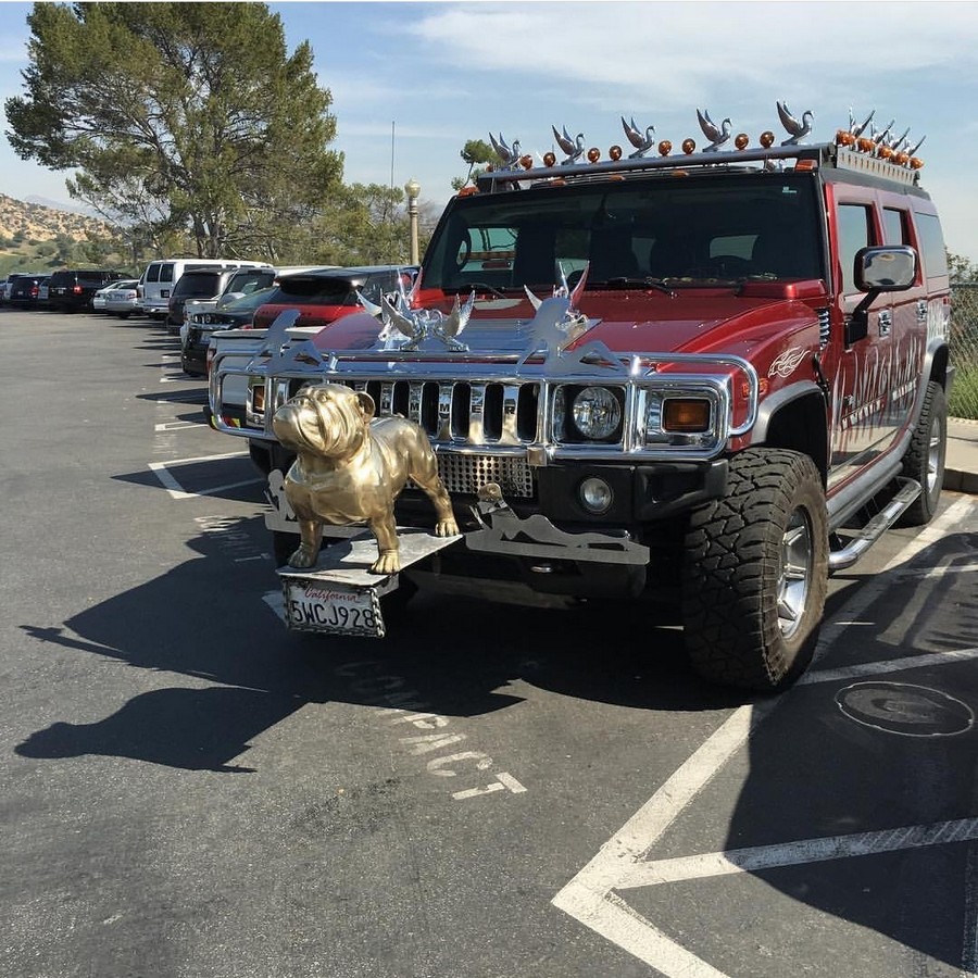 Daily Pictures. Part 1 (64 pics)