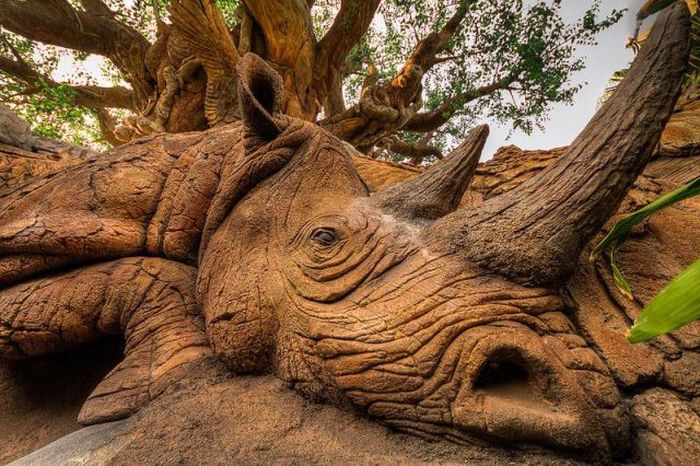 Daily Pictures. Part 1 (64 pics)