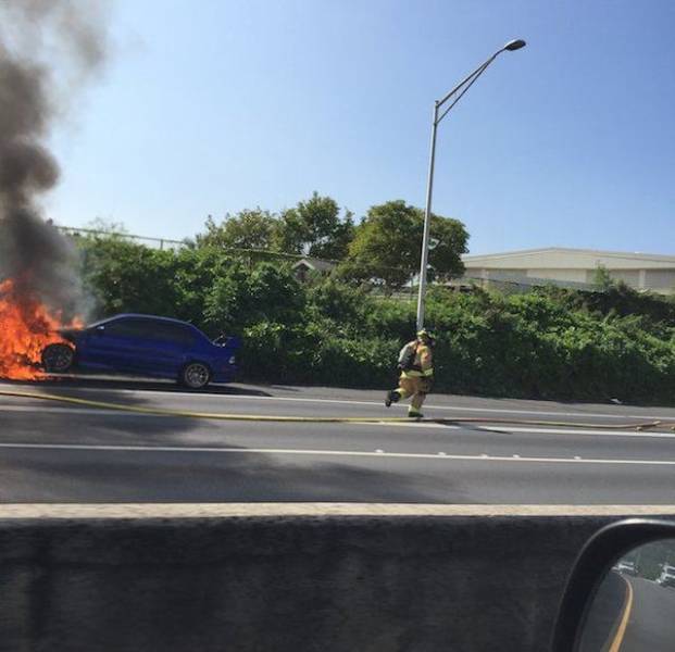 Daily Pictures. Part 1 (64 pics)