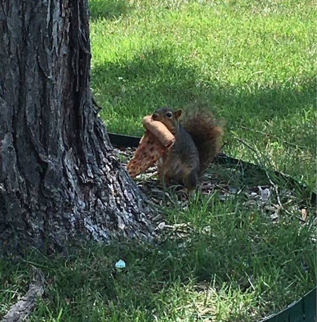 Daily Pictures. Part 1 (64 pics)