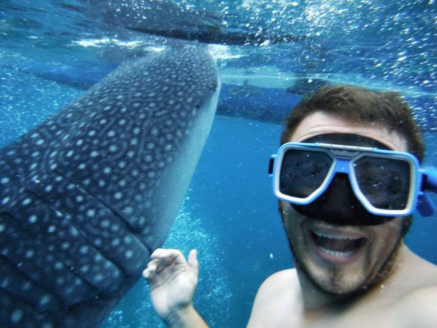 Daily Pictures. Part 1 (64 pics)