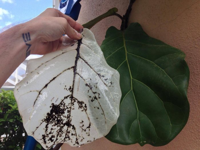 Daily Pictures. Part 1 (64 pics)