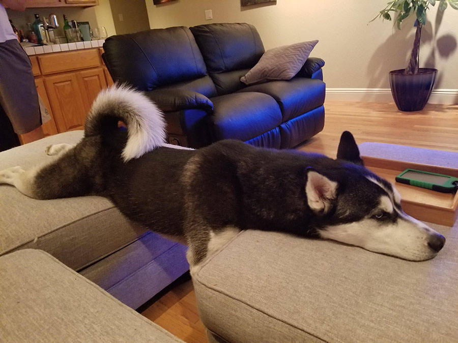 Daily Pictures. Part 2 (63 pics) Daily Pictures. Part 2 (63 pics)