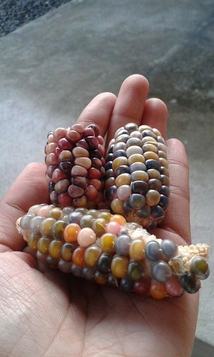 Daily Pictures. Part 1 (64 pics)