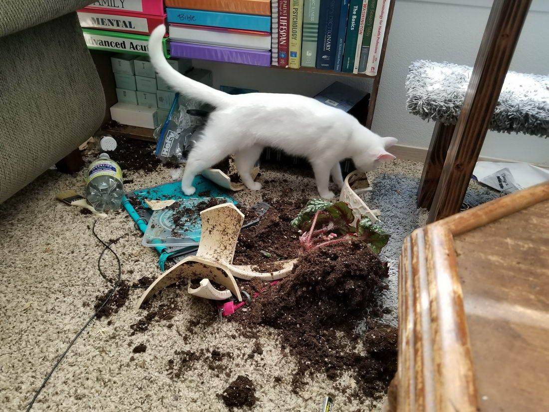 Daily Pictures. Part 1 (64 pics)