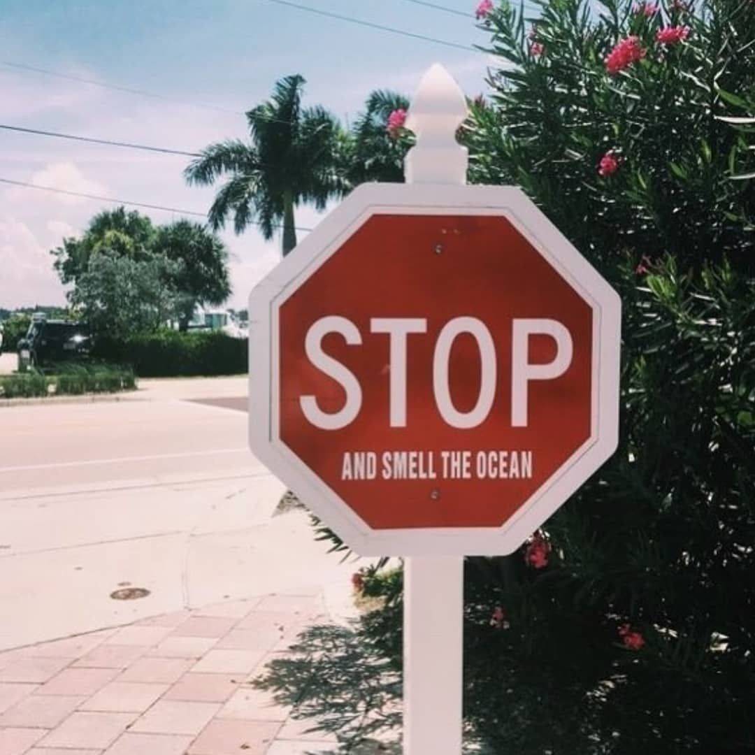 Daily Pictures. Part 1 (64 pics)