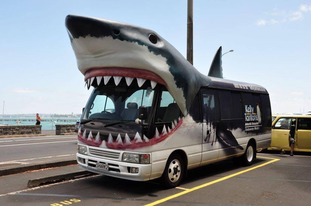 Daily Pictures. Part 1 (64 pics)