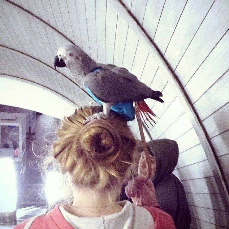 Daily Pictures. Part 2 (63 pics) Daily Pictures. Part 2 (63 pics)