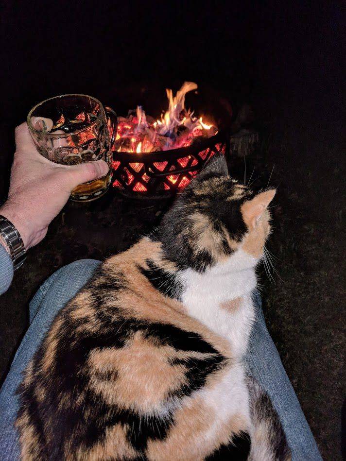 Daily Pictures. Part 1 (64 pics)