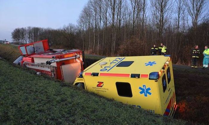 Daily Pictures. Part 1 (64 pics)