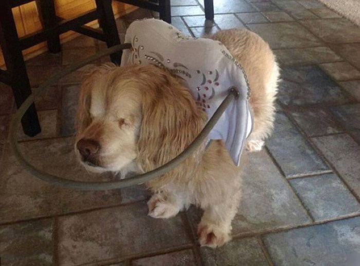 Daily Pictures. Part 1 (64 pics)