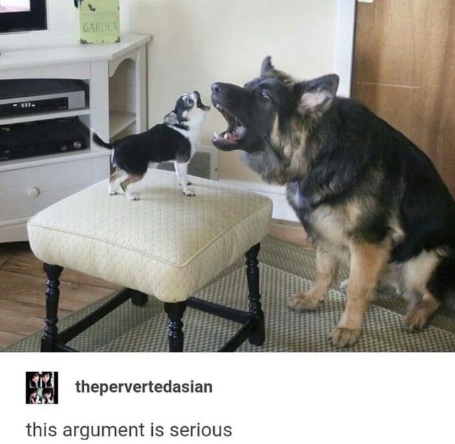 Daily Pictures. Part 2 (63 pics) Daily Pictures. Part 2 (63 pics)