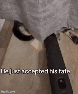 Acid GIFs, January 14 (25 gifs) Acid GIFs, January 14 (25 gifs)