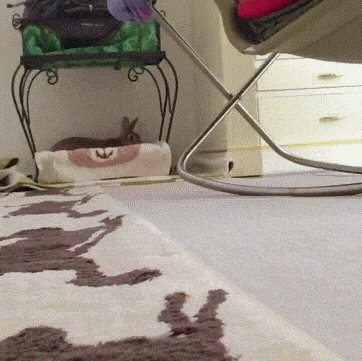 Acid GIFs, January 14 (25 gifs) Acid GIFs, January 14 (25 gifs)