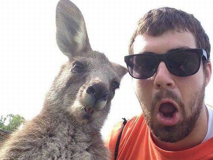 Daily Pictures. Part 1 (63 pics) Daily Pictures. Part 1 (63 pics)