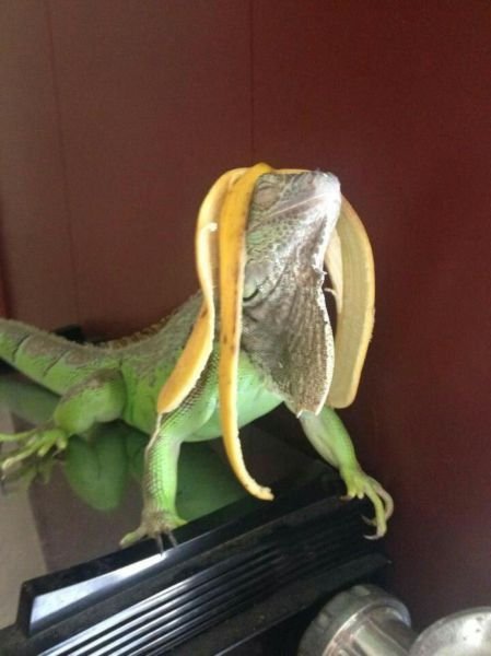 Daily Pictures. Part 1 (63 pics) Daily Pictures. Part 1 (63 pics)