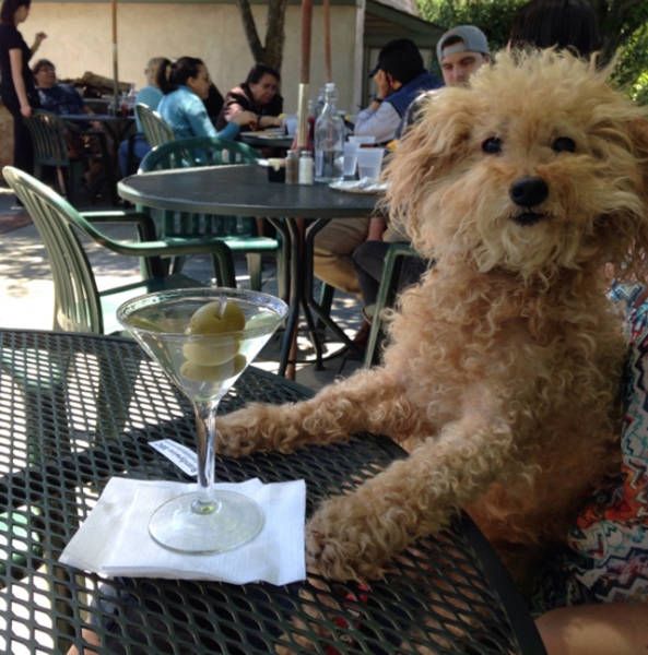 Daily Pictures. Part 2 (62 pics)