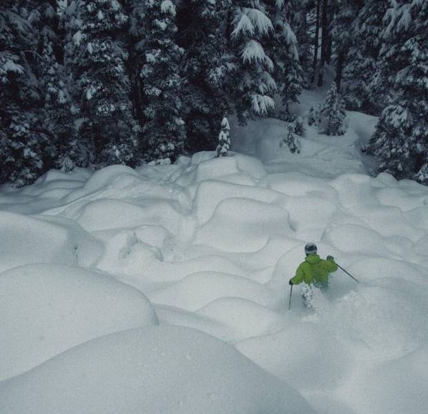 Daily Pictures. Part 2 (62 pics)