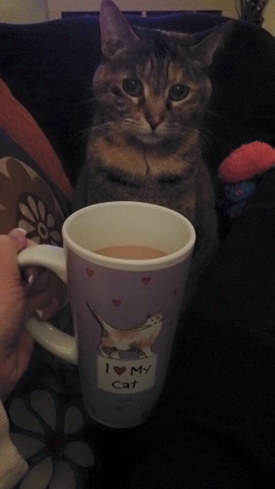 Daily Pictures. Part 2 (62 pics)