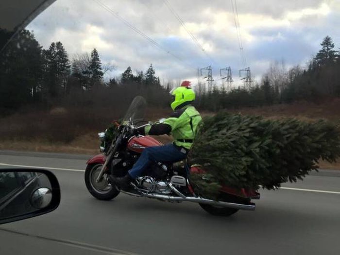 Daily Pictures. Part 2 (62 pics)