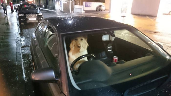 Daily Pictures. Part 2 (62 pics)