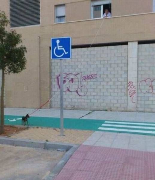 Daily Pictures. Part 1 (63 pics) Daily Pictures. Part 1 (63 pics)