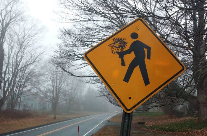 Daily Pictures. Part 1 (63 pics) Daily Pictures. Part 1 (63 pics)