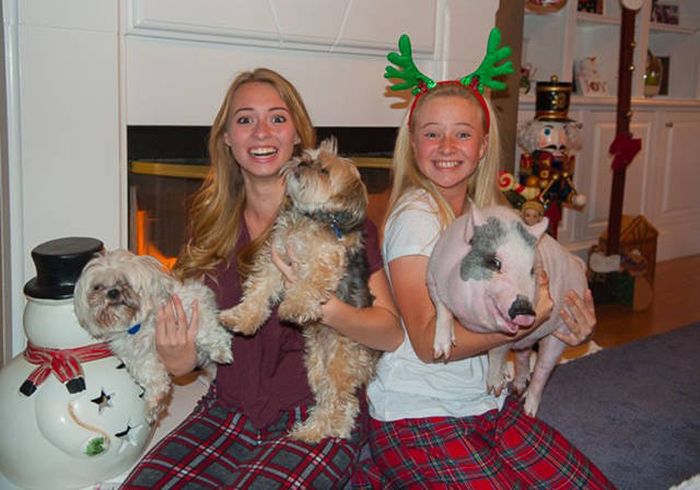 Daily Pictures. Part 2 (62 pics)