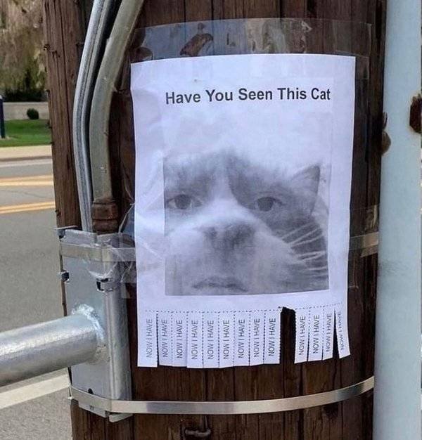 Daily Pictures. Part 2 (62 pics)