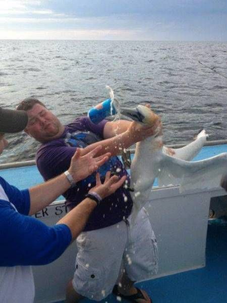 Daily Pictures. Part 2 (62 pics)